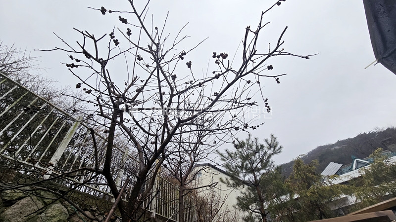 서울 종로구 부암동 부암동 명당자리 단독주택O 기운이 너무좋은 곳 매매 매물번호 13978 사진 5