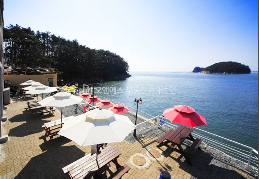 충남 태안군 소원면 의항리 빌딩/토지 매매 매물번호 12253 사진 3