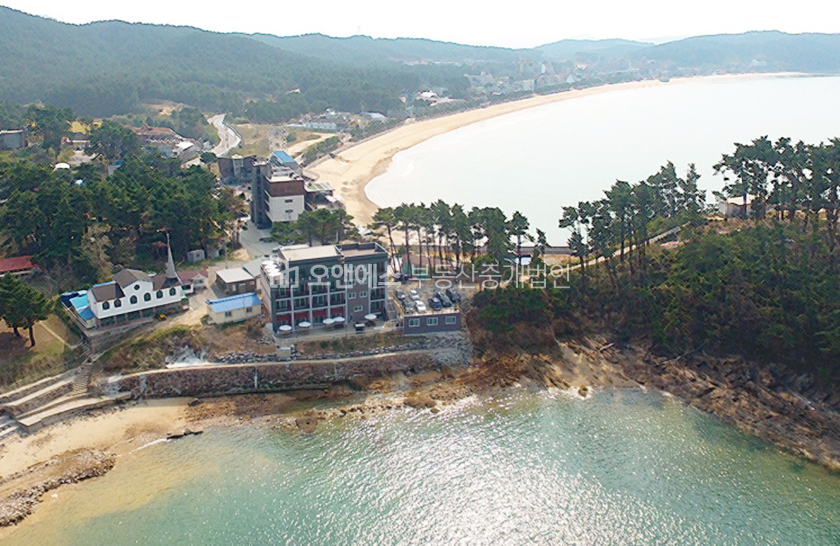 충남 태안군 소원면 의항리 빌딩/토지 매매 매물번호 12253 사진 4