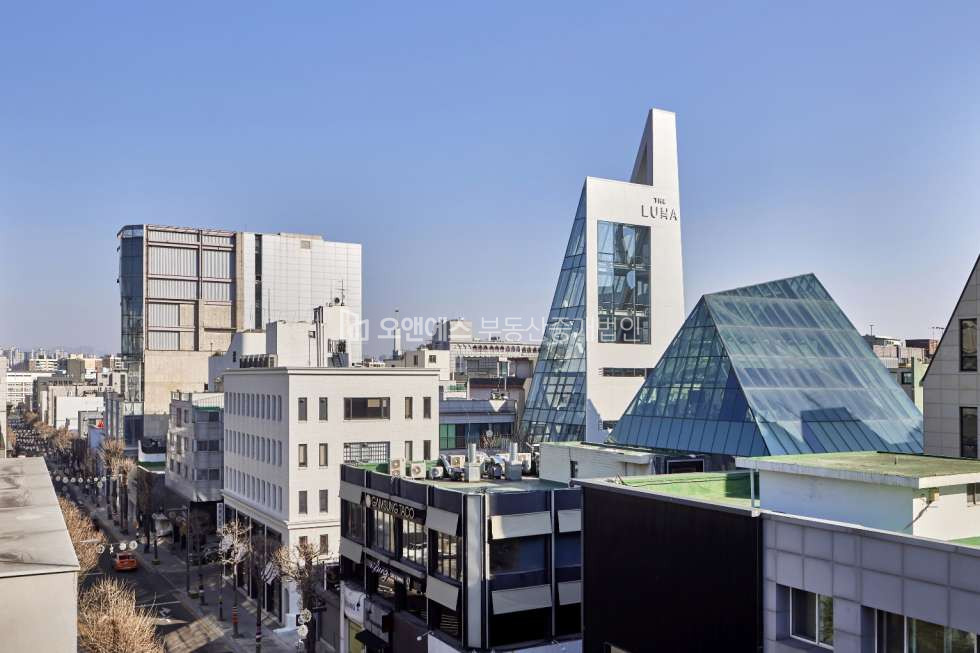 서울 강남구 신사동 신사동 가로수길 빌딩매매 THELUNA빌딩 매매 매물번호 15681 사진 3