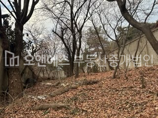 서울 성북구 성북동 갤러리 카페 베이커리 업종 임대 추천 매매 매물번호 15359 사진 8