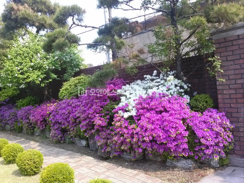 서울 용산구 이태원동 205-38, 이태원하우스120 101호 이태원동 대형 정원세대 외국인전용 고급빌라 렌트 월세 매물번호 15810 사진 4