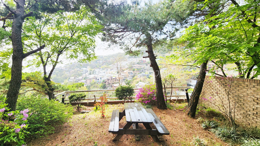 서울 종로구 평창동 멋진 뷰와 넉넉한 공간 햇빛 가득한 컨디션 좋은 평창동 단독주택 매매 매물번호 13181 사진 3